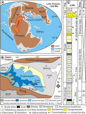 Volcanically-Induced Environmental and Floral Changes Across the Triassic-Jurassic (T-J) Transition